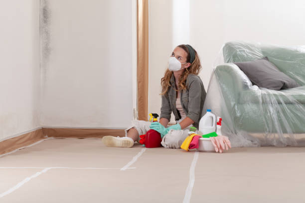 Reliable Mold Testing contractor in Wade, NC by WQB Mold Removal